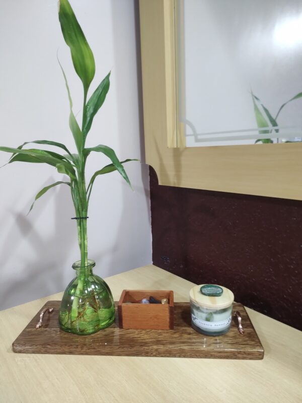 Kit decorativo boas energias - Imagem 8