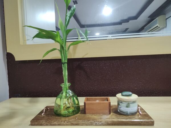Kit decorativo boas energias - Imagem 2