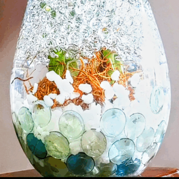 Vaso decorativo de Vidro com planta natural - Imagem 6