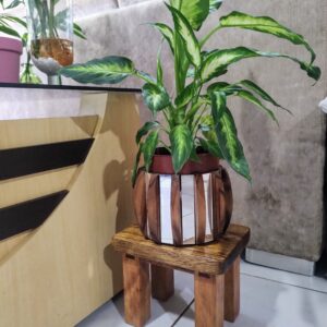 Banquinho