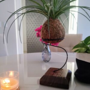Suporte para kokedama